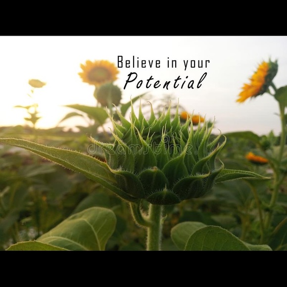 🌻🌼🌻🌼☀️grateful for you browsing my posh today - Picture 7 of 9